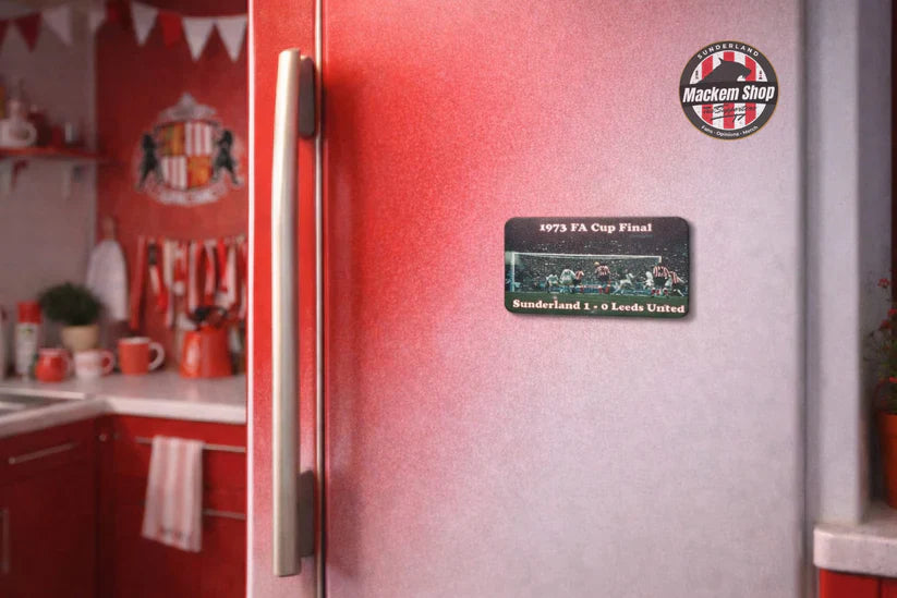 Fridge magnets