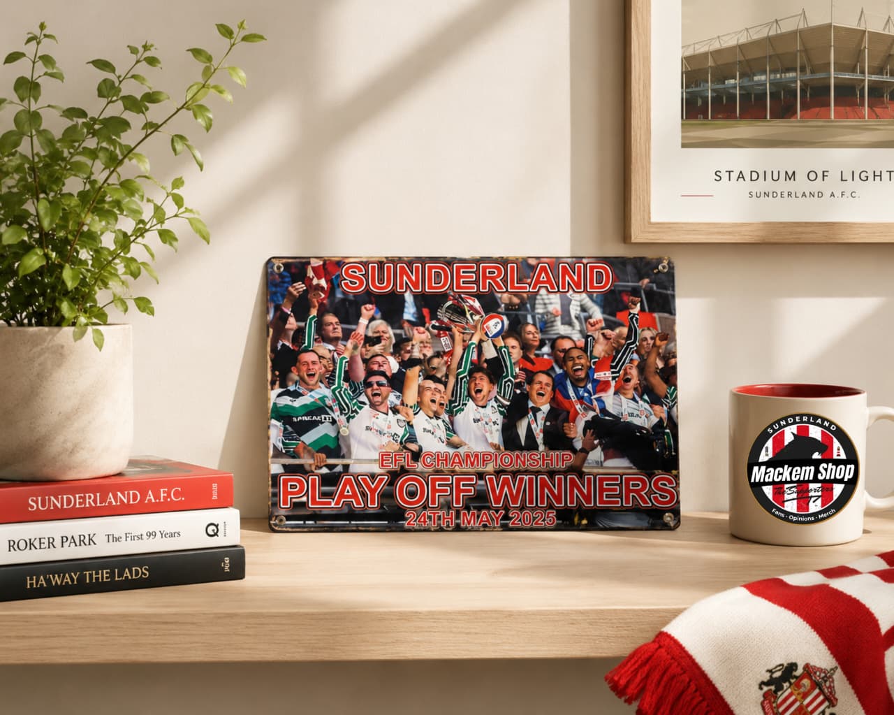 Sunderland AFC memorabilia on a shelf with a plant and mug in the background