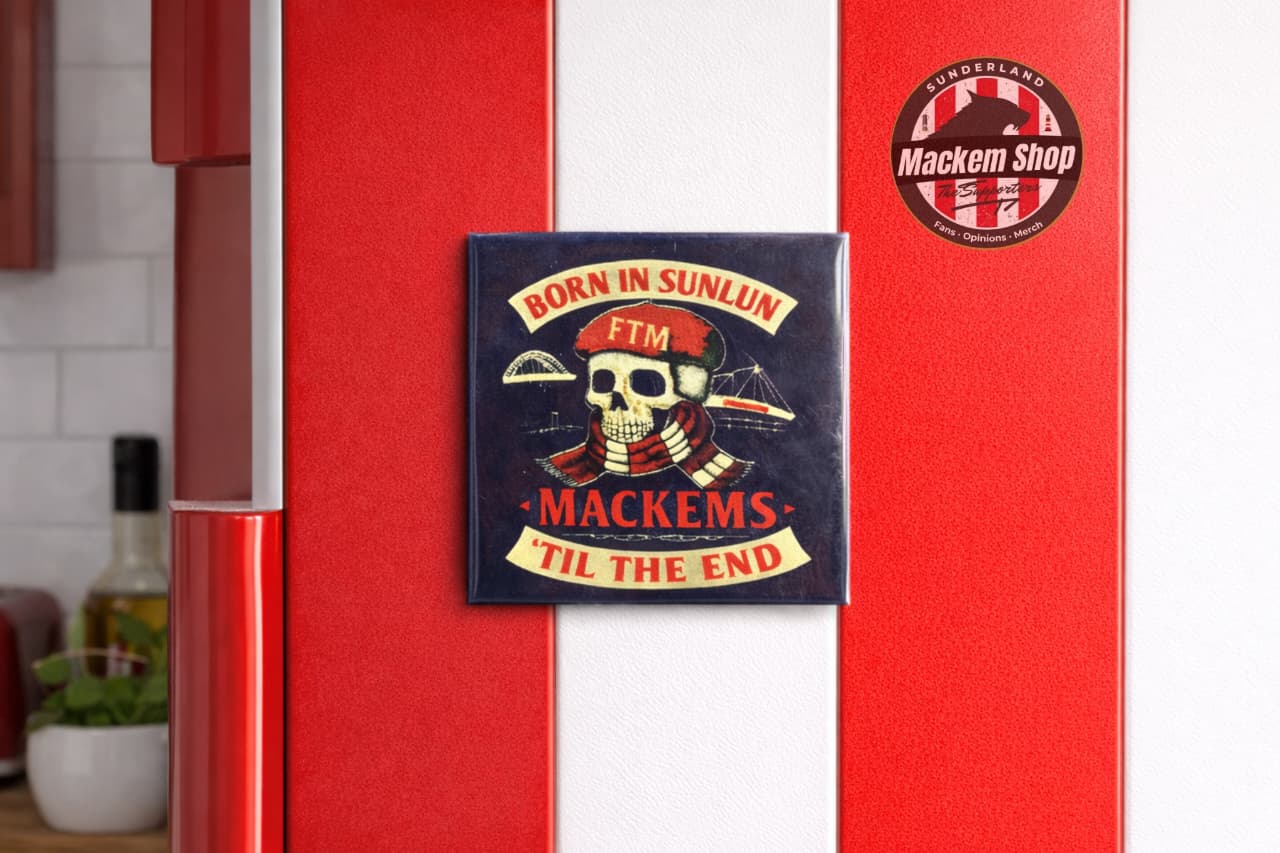 Fridge with a decorative magnet featuring a skull and text, with a sticker on a red refrigerator.