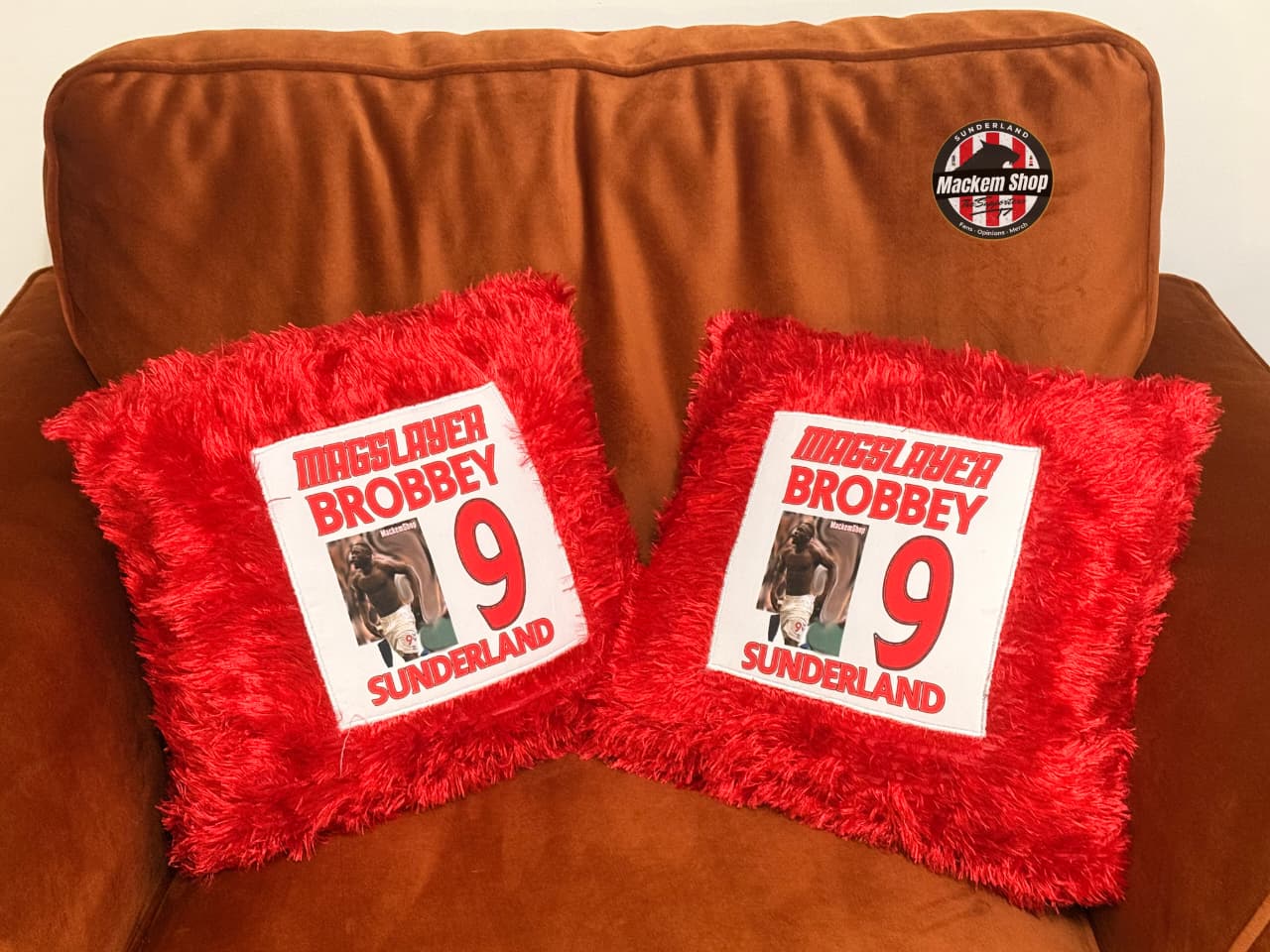 Two red pillows with printed text and images on a brown couch.
