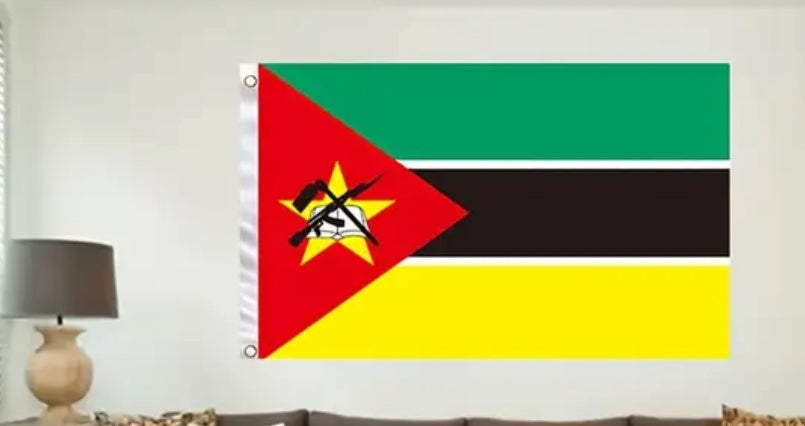 Flag of Mozambique hanging on a wall with a lamp and decorative items below.