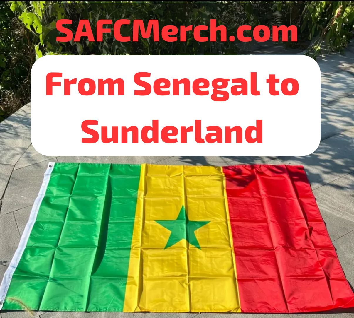 Senegalese flag with text overlay on a stone surface