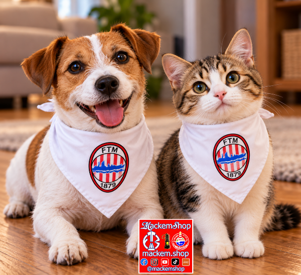  Pet Bandana worn by a cute dog and a cute cat.