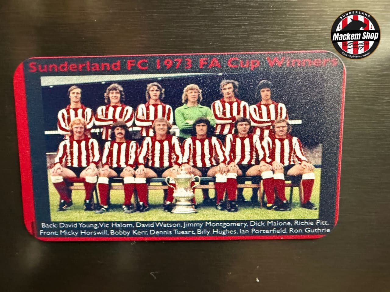 Sunderland FC 1973 FA Cup Winners badge with team photo on a dark surface