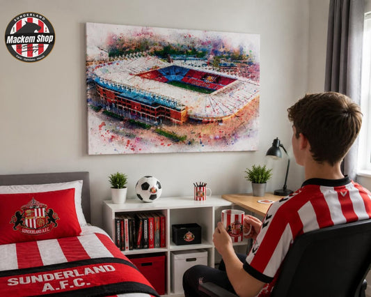 A young Sunderland AFC fan Looking at Stadium of Light canvas made by MackemShop.