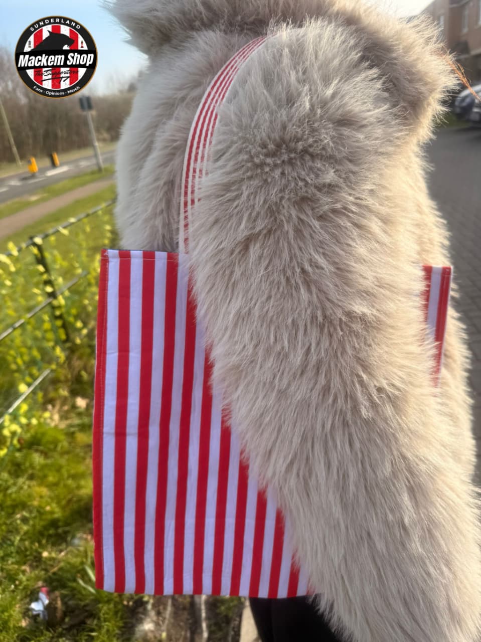 Red and white striped Tote Bag Hung on shoulder with a blurred background